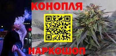 спиды Бийск