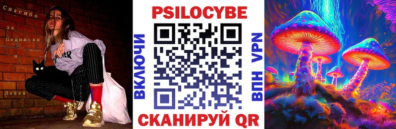 купить закладку  Тында  Псилоцибиновые грибы MAGIC MUSHROOMS 