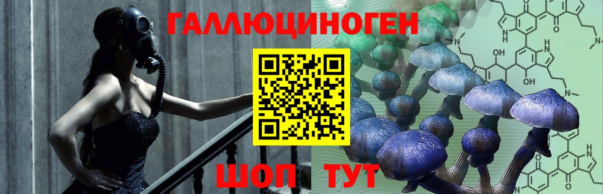 Псилоцибиновые грибы MAGIC MUSHROOMS  Тында 