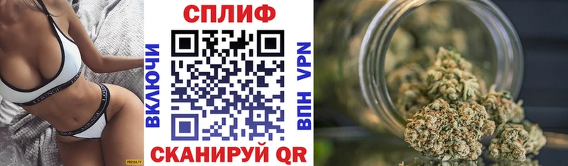 Бошки Шишки гибрид  Тында 